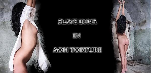  Slave Luna in AOH torture